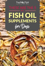 Best Fish Oil For Dogs Supplements Of 2020 Liquid And Capsule Form