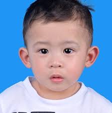 INVITING ALL DOG OWNERS! The Labrador Retrievers Club in cooperation with  the City Veterinary Office will be conducting “Aso Ko, Responsibilidad  Ko!”: A Symposium