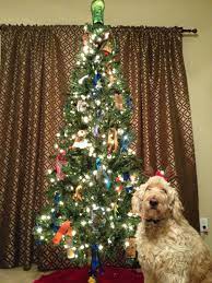 Running Themed Christmas Tree Decorated With Race Medals Christmas Tree Themes Christmas Tree Decorations Christmas Tree