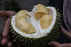 Makan durian secara normal, akan menghindarkan anda dari berbagai ancaman penyakit mematikan. Sering Makan Buah Durian Hati Hati Inilah Yang Terjadi Jika Terlalu Banyak Makan Durian Semua Halaman Bobo