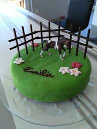Gateau D Anniversaire Pre Avec Son Cheval Gateau Anniversaire Gateau Anniversaire Enfant Gateau Cheval