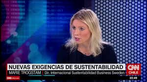 Suscríbete para recibir todas las noticias: Cnn Chile Marie Trogstam Business Sweden Negocios Sostenibles Desde Suecia Youtube