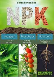 This dangerous pest spread to the plants spread in one of the most important regions in the world: Fertilization 101 Garden Revolution Fertilizer For Plants Garden Fertilizer Diy Fertilizer