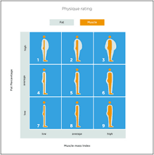 What Is Physique Rating Tanita