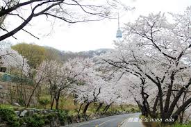 愛上韓國的春夏秋冬- DCFever.com