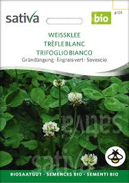 Image result for Trifolium semipilosum