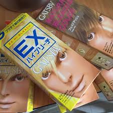 Before deciding what hair products to get , it is important consider the ingredients used. Gatsby Hi Bleach Ash Grey Hair Dye Review Jean Kuah S Beauty Blog