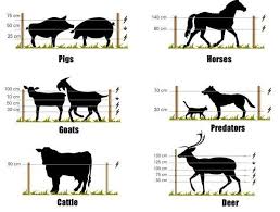 Solar Powered Controller Energizer Livestock Electric Fence Pig Build In Controller Solar Fence View Pig Build In Contro Ahir Planlari Hayvan Hayvan Barinagi