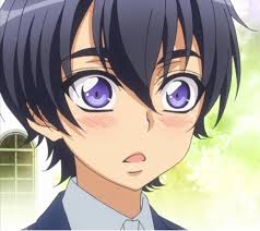 Ryouma Ichijou Love Stage Anime Art