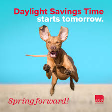 Shiloh Veterinary Hospital