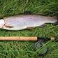 Beginners Fly Fishing Course event in Pewsey
