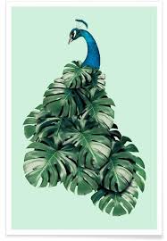 Monstera Bird Von Jonas Loose Als Premium Poster Jetzt Online Kaufen Bei Juniqe Zuverlassiger Versand Taglich Neue Designs Jetz Poster Fotokunst Bilder