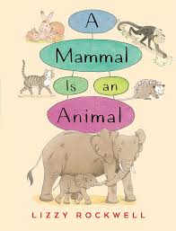 The arabian camel, or dromedary (camelus dromedarius), has one back hump; A Mammal Is An Animal Rockwell Lizzy 9780823436705 Amazon Com Books