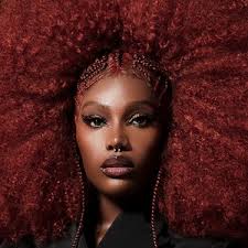 Akeem Ali Concerts & Live Tour Dates: 2025-2026 Tickets