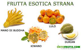 Questa pagina web con codycross piccolo frutto arancione con la buccia liscia soluzioni è l'unica fonte di cui hai bisogno per saltare. Frutta Esotica La Guida Completa Nomi E Proprieta Ortofrutta Com