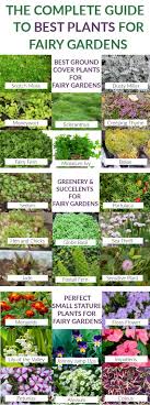 It doesn't take much more than a miniature fence and two birdhouses to turn a simple flower pot into a dream fairy garden. Best Fairy Garden Plant Ideas And Plants For Miniature Gardens A Complete List Of Indoor Fairy Garden Pl Fairy Garden Plants Fairy Garden Flowers Fairy Garden