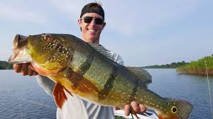 Maybe you would like to learn more about one of these? Giant Amazon Peacock Bass Fishing Peacock Bass In The Amazon Pt 3 Youtube