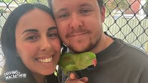 Driving in Macarthur