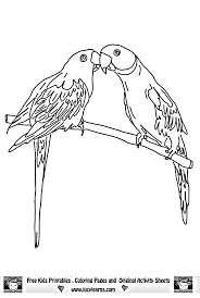 In case you don\'t find what you are looking for. Parrot Pictures Free Coloring Home