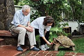 Facebook is showing information to help you better understand the purpose of a page. A Pet Tortoise Who Will Outlive Us All The New York Times