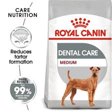 Save on dental care for pets. Royal Canin Dental Care Medium Trockenfutter Fur Mittelgrosse Hunde Mit Empfindlichen Zahnen
