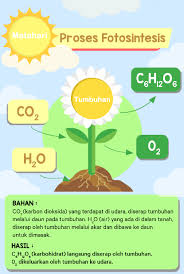 Soalan sains tingkatan 4, soalan sains tahun 1, panduan kps sains tahun 3 via www.slideshare.net. Tahukah Kamu Bagaimana Tumbuhan Mendapatkan Makanan Portalmadura Com
