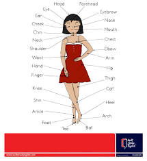 ⬤ picture quiz about body parts vocabulary. Wall Street English On Twitter Learn The Body Parts Name In English Englishtips Http T Co Pmiabzvtqj