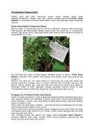 Pokok ini menjadi pilihan kerana ia dapat menghalau nyamuk dengan mengeluarkan aroma unik jangan lupa juga untuk tanam pokok yang sesuai untuk menghalau nyamuk ini darir terus berleluasa. Pokok Halau Nyamuk Pelargonium Radula