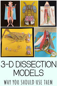 3 D Scienstructable Dissection Paper Models For Life Science And Biology