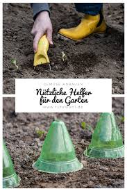 Gemusegarten Pflegen Was Braucht Man Als Anfanger Gemuse Anpflanzen Garten Gartenarbeit