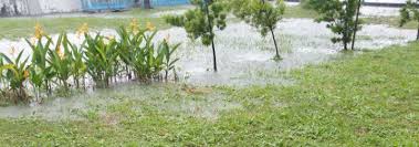 Rodding is a very easy way of unclogging drains, it can be effective and often used for most blockages. How To Unclog Outside Drain And French Drain Pipes Zodega