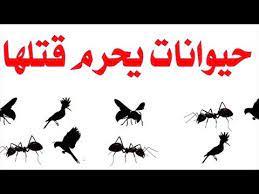 خمس حيوانات يحرم عليك قتلها حذرنا منها الرسول فما هي هذه الحيوانات نور الاسلام