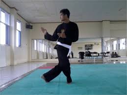 Berikut ini adalah gambar beserta keterangannya jurus pencak silat tapak suci. 7 Teknik Dasar Pencak Silat Beserta Gambarnya Dan Video