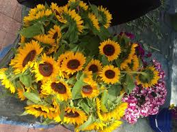 Maybe you would like to learn more about one of these? 4 Places To Buy Fresh Flowers In Charlotte Axios Charlotte