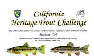 The Ecological Angler - Salmon and Trout Species