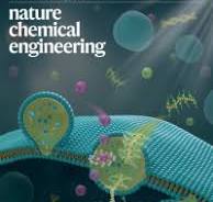 Volume 1 | Nature Chemical Engineering