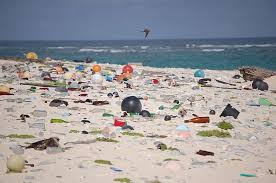 Contaminación de los océanos: ¿qué podemos hacer? | Heinrich-Böll ...