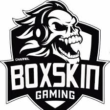 Play store what made you join the tubebuddy forums? Boxskin Channel Boxskingaming Twitter
