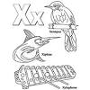Help your little learner find the letter x with this letter x coloring page! 1