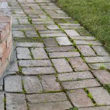 Spreading iodized salt on the gravel will kill weeds, but it will sterilize the ground for years to come, so use it sparingly. How To Remove Mold Algae From Brick Pavers Hunker Mold Remover Brick Pavers Paver Patio