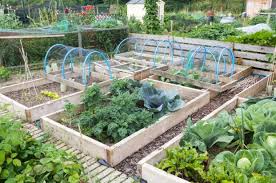 The depth really depends on how deep the roots run on the things that. How Deep Should Raised Garden Beds Be