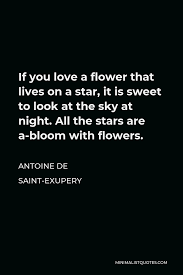 I love to be in your dreams as a fairy of love. Antoine De Saint Exupery Quote If You Love A Flower That Lives On A Star It Is Sweet To Look At The Sky At Night All The Stars Are A Bloom With Flowers