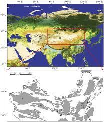 The mojave desert is situated in a transitional zone between the great basin desert to the north and the sonoran desert to the south (mainly between 34 and 38°n latitudes). Formation And Evolution Of Gobi Desert In Central And Eastern Asia Sciencedirect