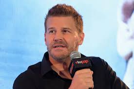 David Boreanaz Net Worth