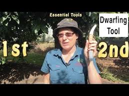 Welcome back to stardew valley! Daleys Fruit Tree Blog Dwarfing Tool Cincturing Or Girdling Fruit Trees Flower Fruiting In More Climates Fruit Trees Uk Fruit Trees Fruit Trees For Sale