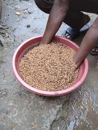 Goodmorning Organic Lovers. Flyful Farms. David Atis 0792 736841