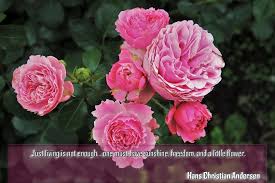 Just Living Is Not Enough One Must Have Sunshine Freedom And A Little Flower Just Living Is Not Enough One Must Have Sunshine Freedom And A Little Flower Hans Christian Andersen Brainyquotes Brainy Qu Wholesale Roses Tulips Garden Garden Gifts