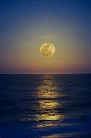 Pin De Zeki Sariyilmaz Em Zeki Natureza Planos De Fundo Fotos