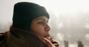 Fog Winter Videos: 4K and HD Video Clips for Download