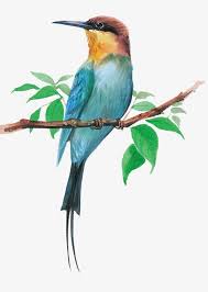 Bird Sitting On Branch Png Birds Png Animal Bird Birds Birds Clipart Branches Birds Bird Clipart Png